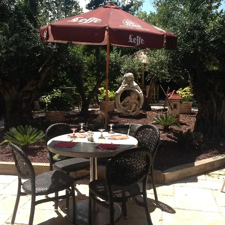 Le Jardin Des Oliviers
